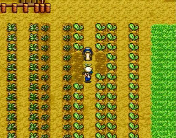 1996年日本 SFC 版：角色在农田中照料作物。
